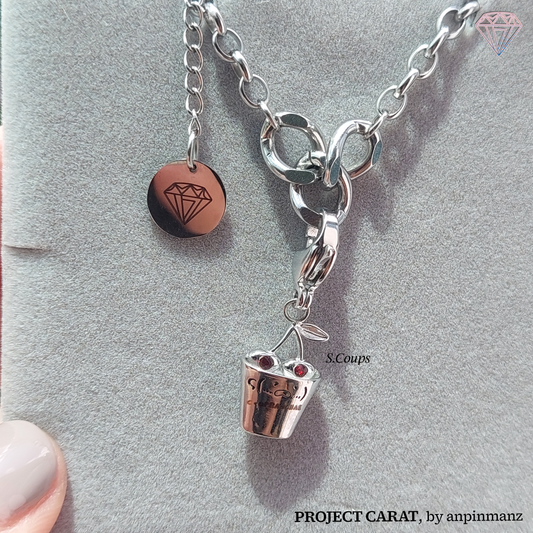 PROJECT CARAT member charms