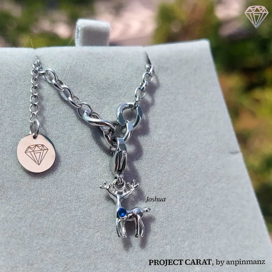 PROJECT CARAT 95z line charms