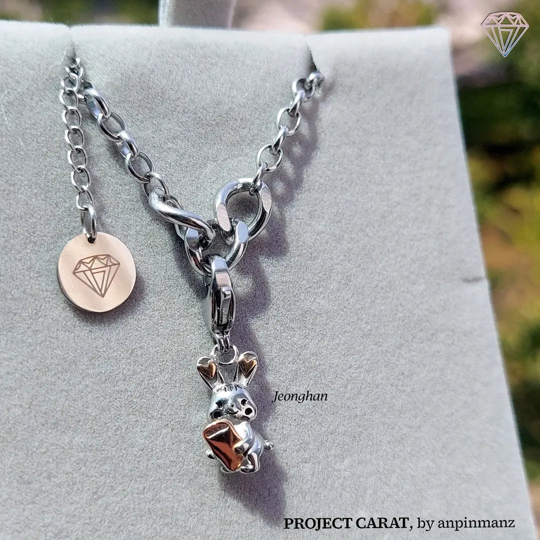 PROJECT CARAT 95z line charms