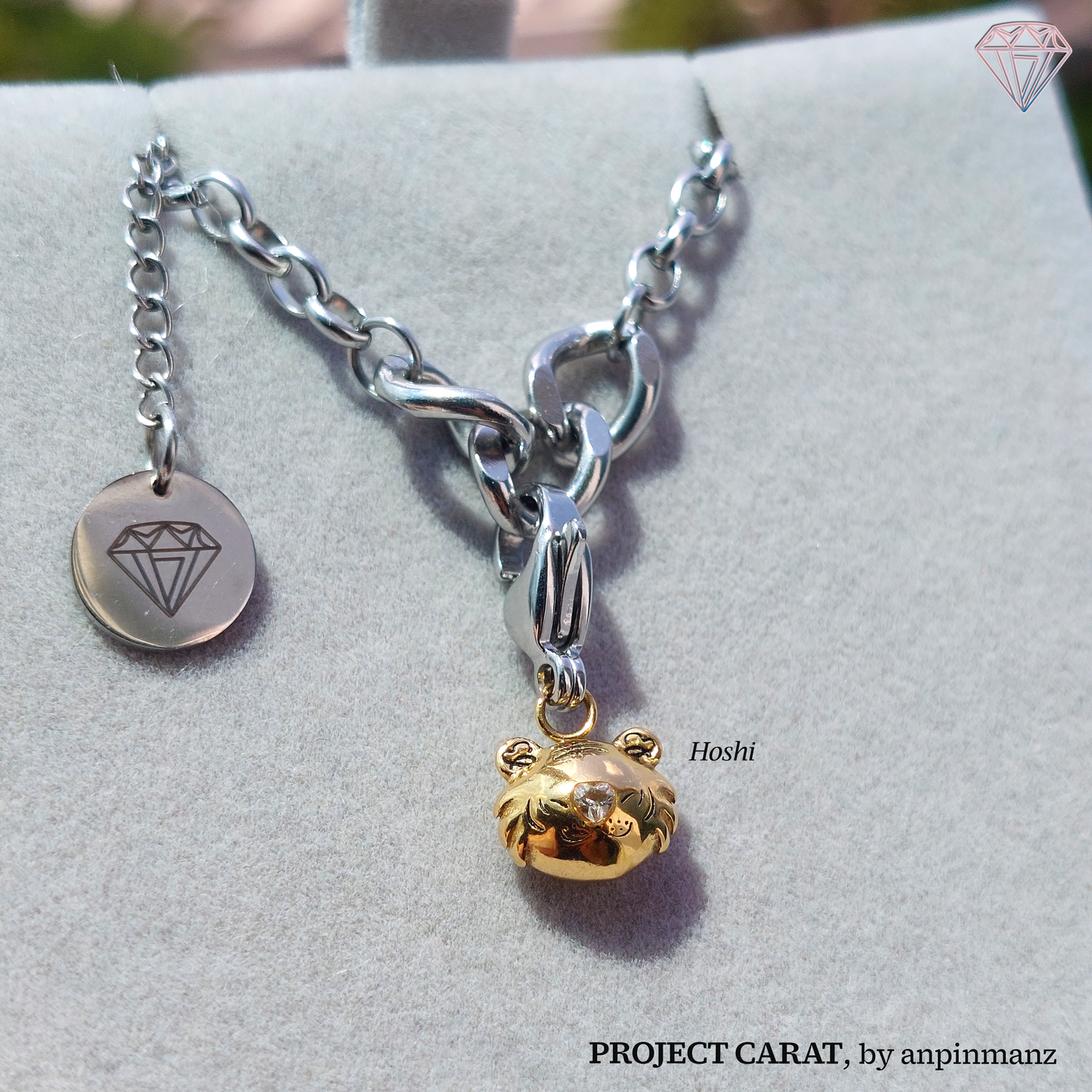 PROJECT CARAT member charms (OT13)