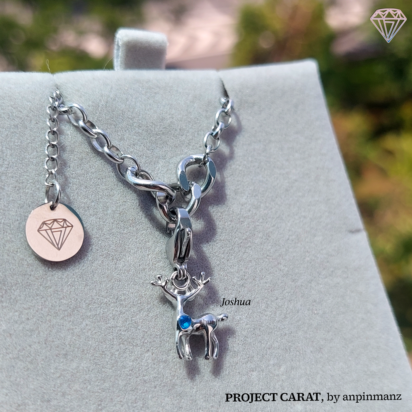 PROJECT CARAT member charms (OT13)