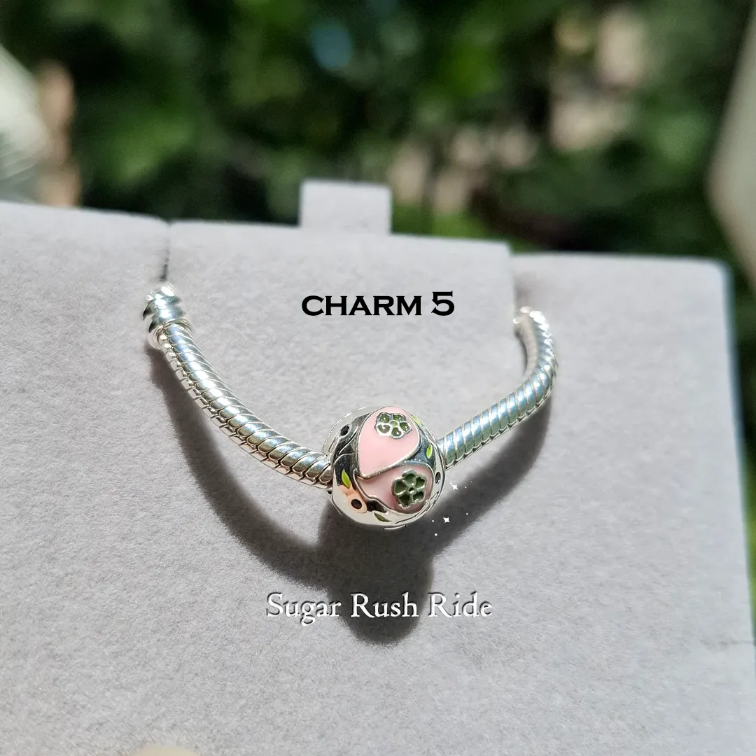 Project Tubatu individual charms