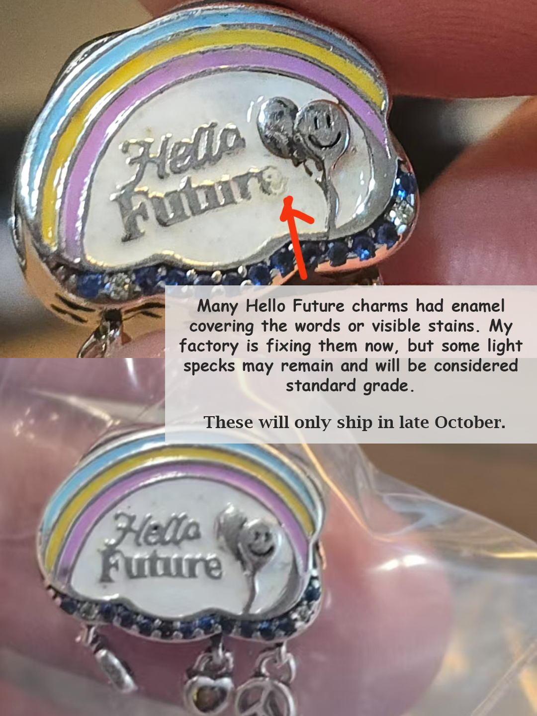 Project NCity INDIVIDUAL charms