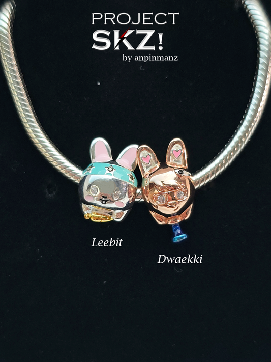 Project SKZ Leeknow & Changbin charms/necklaces